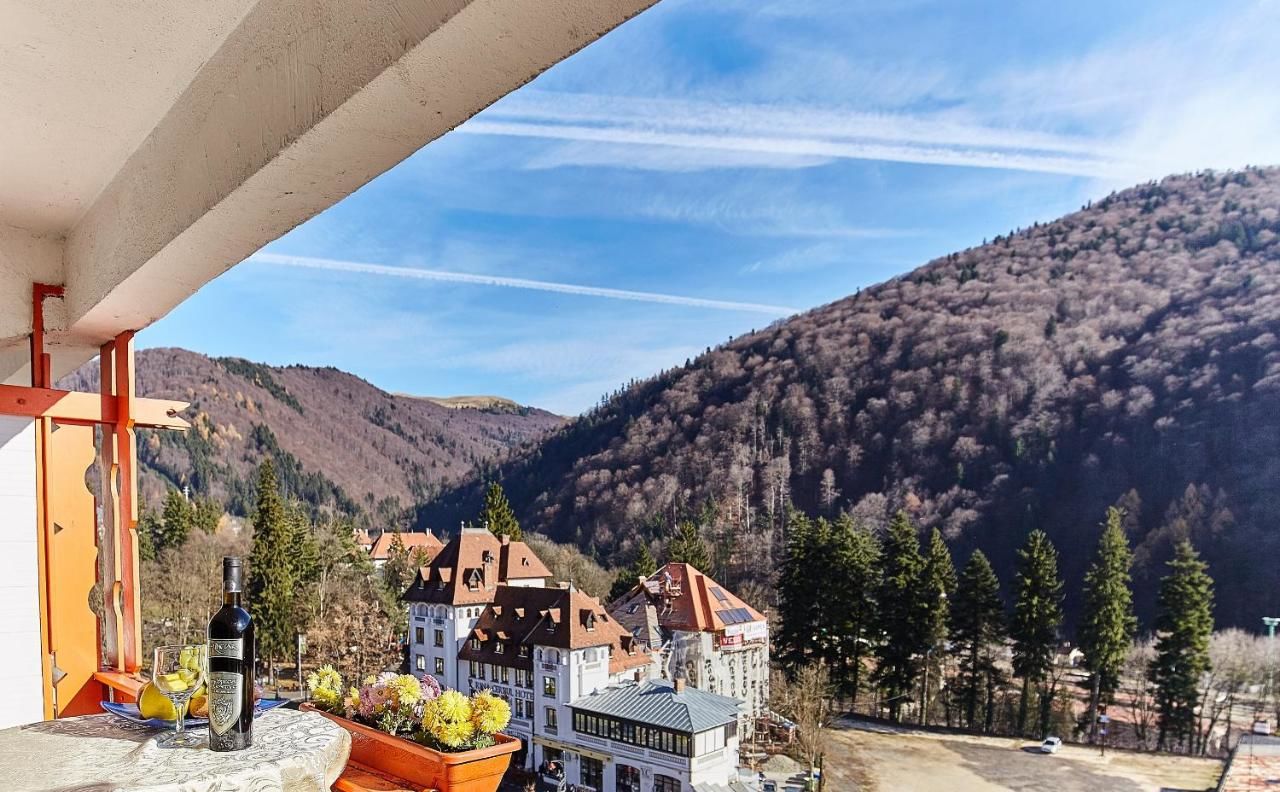 Отель Hotel Sinaia Синая