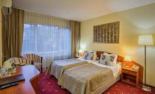 Отель Hotel Sinaia Синая Двухместный номер Делюкс с 1 кроватью или 2 отдельными кроватями, без балкона-5